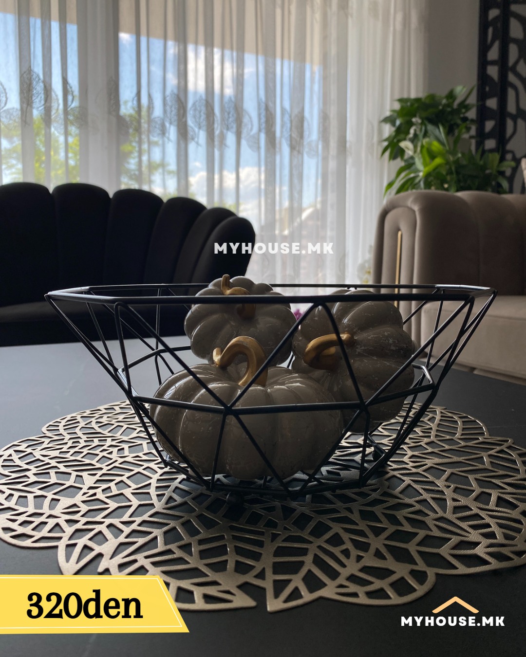 347430597_107316239061300_3127742598465935686_n